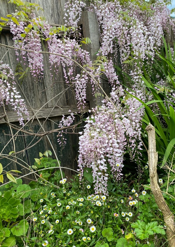 Day 2 - The Hearth Lights