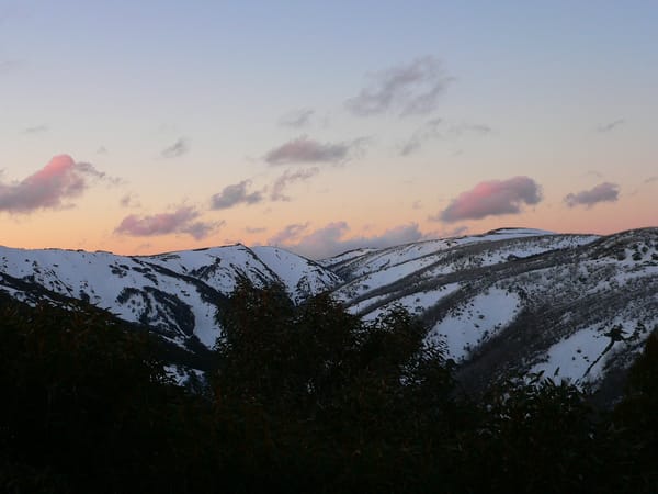 Day 14 - The Week of Belonging.